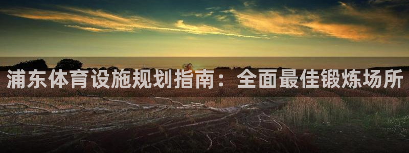 意昂体育3开户：浦东体育设施规划指南：全面最佳锻炼场