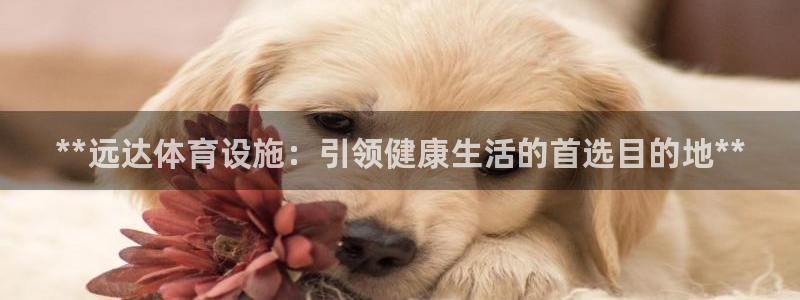意昂3开户：**远达体育设施：引领健康生活的首选目的