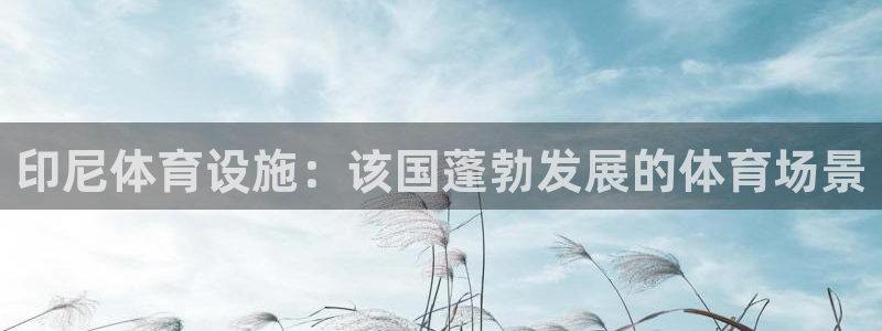 意昂体育3开户：印尼体育设施：该国蓬勃发展的体育场景
