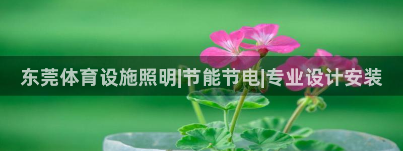 意昂3官网：东莞体育设施照明|节能节电|专业设计安装