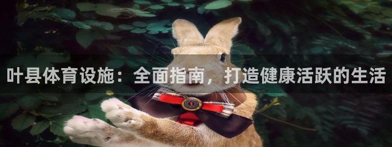 意昂3娱乐下载：叶县体育设施：全面指南，打造健康活跃