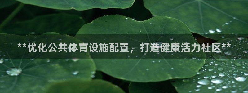 意昂3娱乐是那个系列的台子：**优化公共体育设施配置