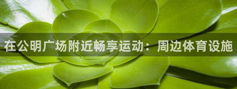 海南意昂体育3：在公明广场附近畅享运动：周边体育设施