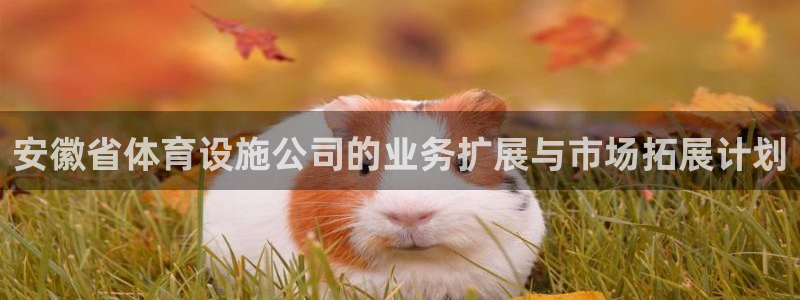 意昂体育3招商电话地址