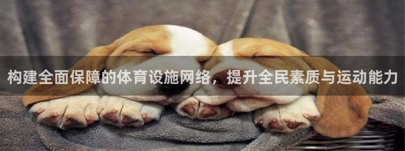 意昂体育3平台是正规平台吗安全吗