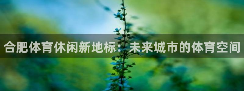 意昂平台体育