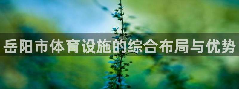 意昂体育3平台注册流程图