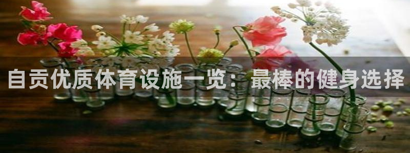 意昂3集团：自贡优质体育设施一览：最棒的健身选择