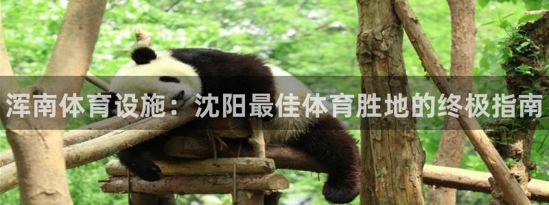 意昂体育3招商电话是多少：浑南体育设施：沈阳最佳体育