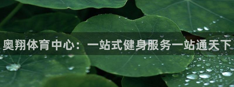 意昂体育3招商电话