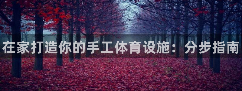 意昂体育3招商电话号码：在家打造你的手工体育设施：分步指南