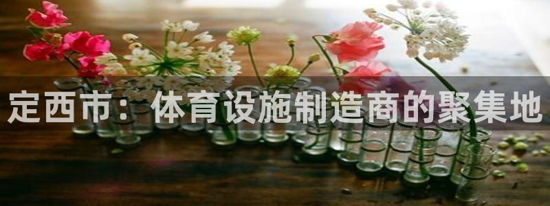 意昂体育3招商电话是多少啊：定西市：体育设施制造商的聚集地