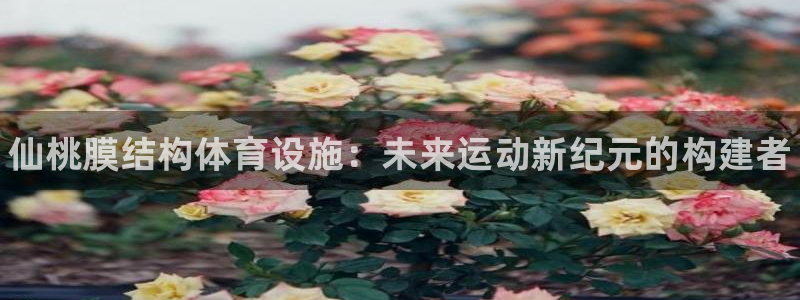 意昂体育3平台假的吗是真的吗：仙桃膜结构体育设施：未