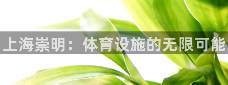 意昂体育3招商电话地址是多少：上海崇明：体育设施的无