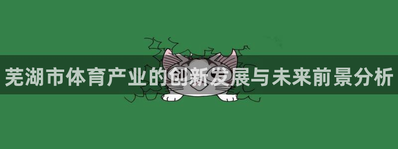 意昂3神州：芜湖市体育产业的创新发展与未来前景分析