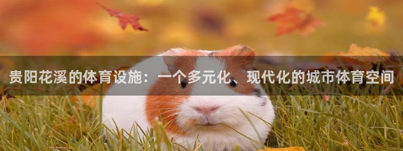 意昂3娱乐40996：贵阳花溪的体育设施：一个多元化