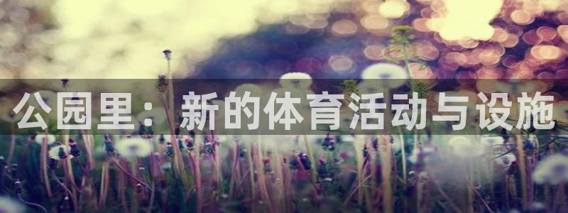 意昂3新能源：公园里：新的体育活动与设施