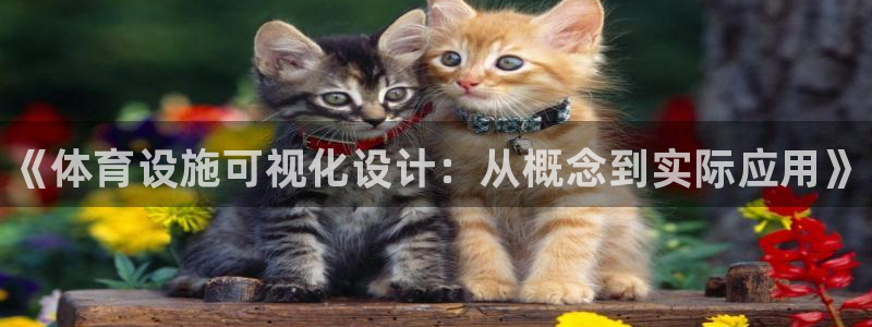 意昂3集团logo：《体育设施可视化设计：从概念到实