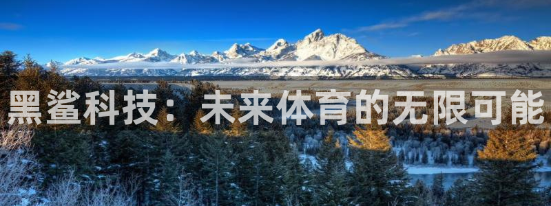 意昂体育3招商电话地址是多少：黑鲨科技：未来体育的无