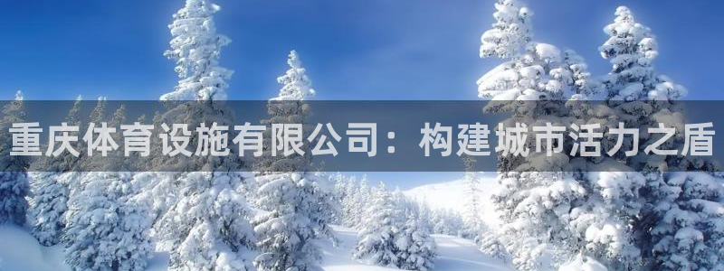 意昂体育3平台注册要钱吗：重庆体育设施有限公司：构建城市活力