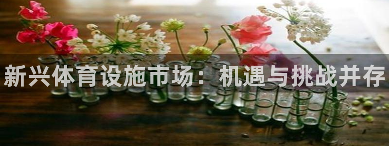 意昂体育3平台假的吗是真的吗：新兴体育设施市场：机遇与挑战并 