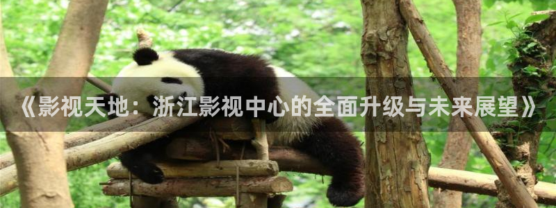 奇米色777米奇影视奇米网：《影视天地：浙江影视中心的全面升级与未来展望》