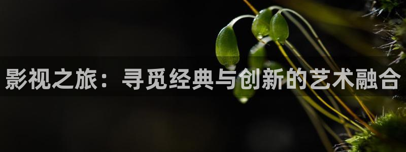 777米奇影院狠狠狠：影视之旅：寻觅经典与创新的艺术融合
