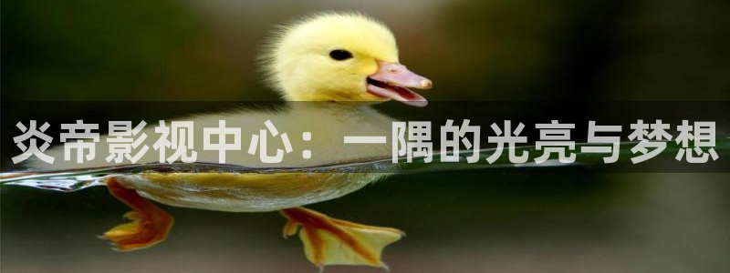 777米奇影院狠：炎帝影视中心：一隅的光亮与梦想